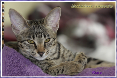 Kiara fast 5 Monate alt