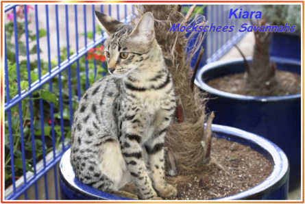 Kiara 5 Monate alt